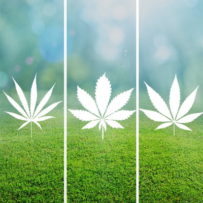 Indica vs Sativa vs Hybrid: Which is Right for You?